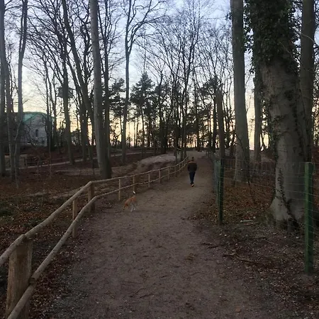 아파트 Nadmorski Sen 미엥지즈드로예